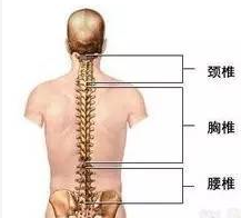 郭树章教授-普通X光片能诊断椎间盘突出吗？