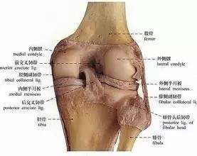 全面总结膝关节常见损伤的特征诊断 