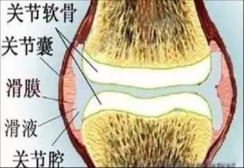 滑膜炎？为啥不用消炎药？