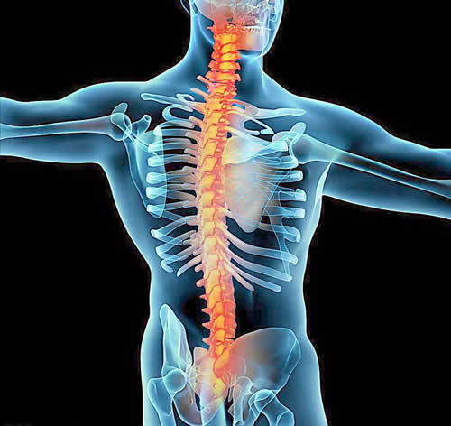 脊柱骨折的最全分类及其治疗 