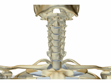 脊髓型颈椎病的手术指证及手术时机！ 