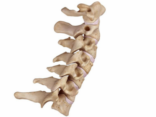 脊柱术后脑脊液漏的最简单处理：以引流换愈合时间