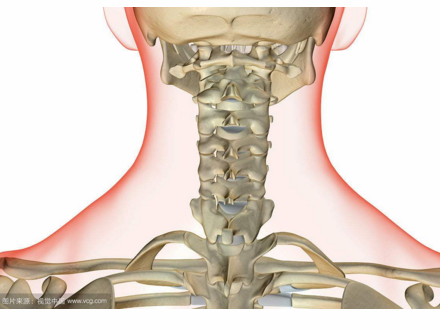 详解上颈椎后路内固定手术技巧及要点