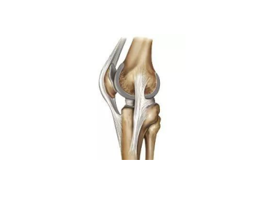 膝关节MRI高清解剖图解，值得收藏！ 