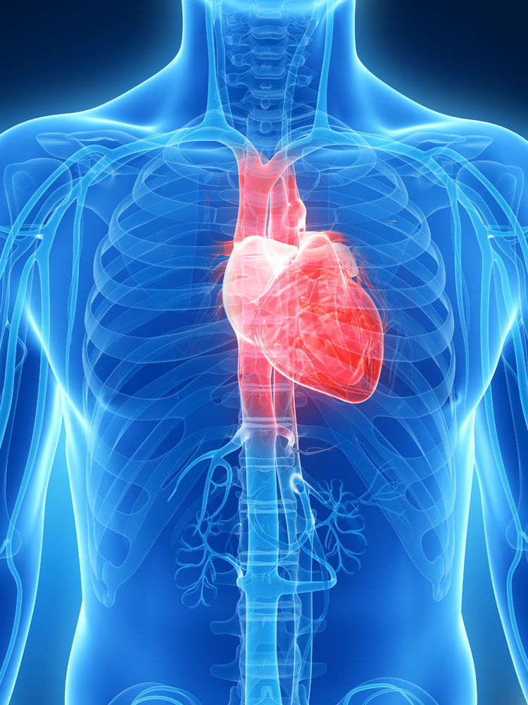收藏 | 心脏起搏器适应证与应用