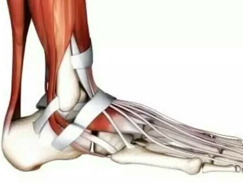 如何做好全踝关节置换术（TAR）？看看这篇！