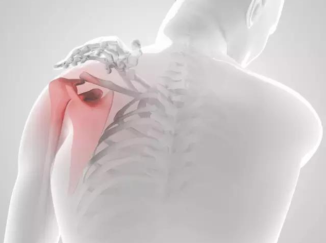 肩关节的松动术疗法详细解读，含动图