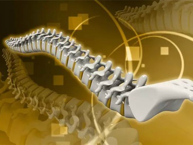 一文详解：主动脉与脊柱的体位关系