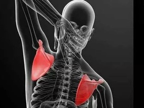 肩周炎丨认识及治疗、与颈椎病/肩袖损伤的区别