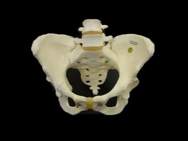 病例分享：骨盆C2型骨折合并腰骶干损伤