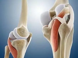 老年膝关节骨性关节炎治疗的诊断思路，这篇文章讲得太全了！
