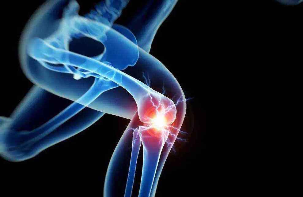 膝关节解剖高清图解，基础必备！