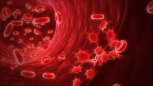 血小板减少患者的如何进行抗血小板治疗？