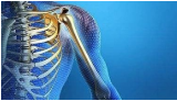 肱骨干骨折：局部解剖、手术入路、固定及手术全面精讲！