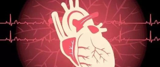 早读 | 纯干货：心脏传导系统精细剖析！