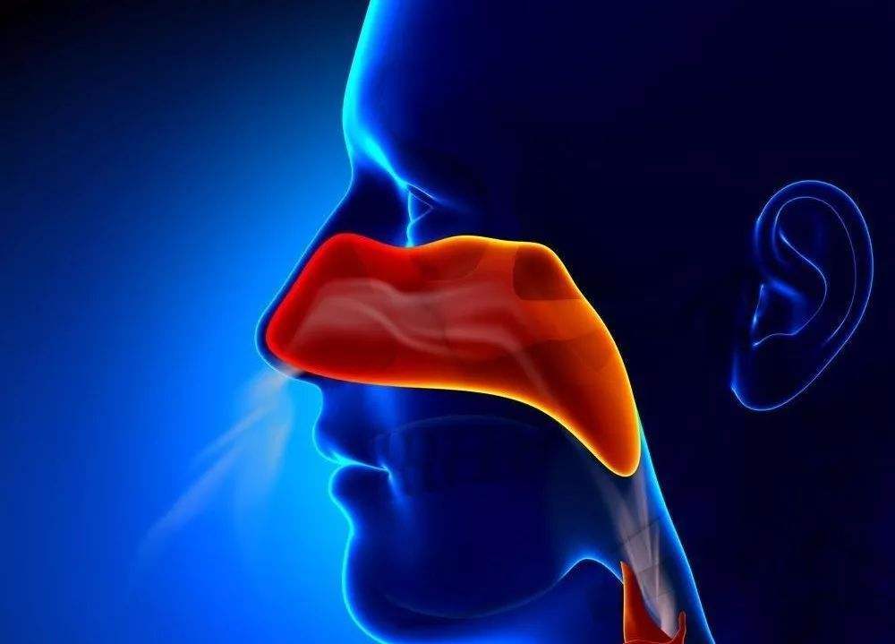 ASCO指南：Ⅱ至ⅣA期鼻咽癌的治疗方案！