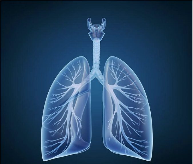 肺癌靶向药物及主要心血管毒性，全面汇总！