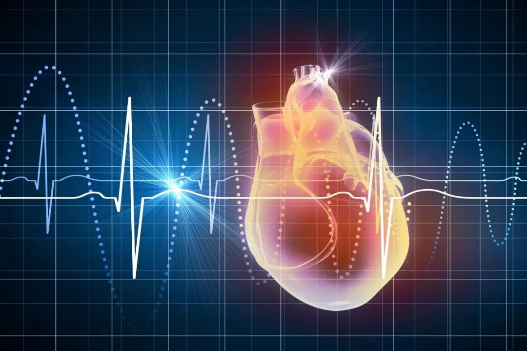 心血管系统的常见7大超声影像，你掌握了吗？