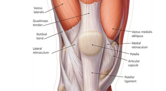 膝关节生物力学，看完本文你就理解了！