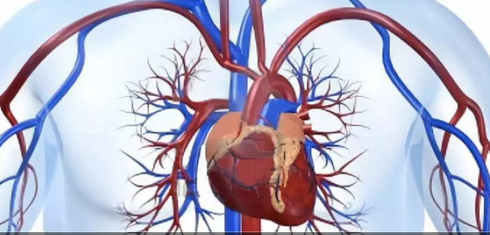 心血管疾病影像诊断学