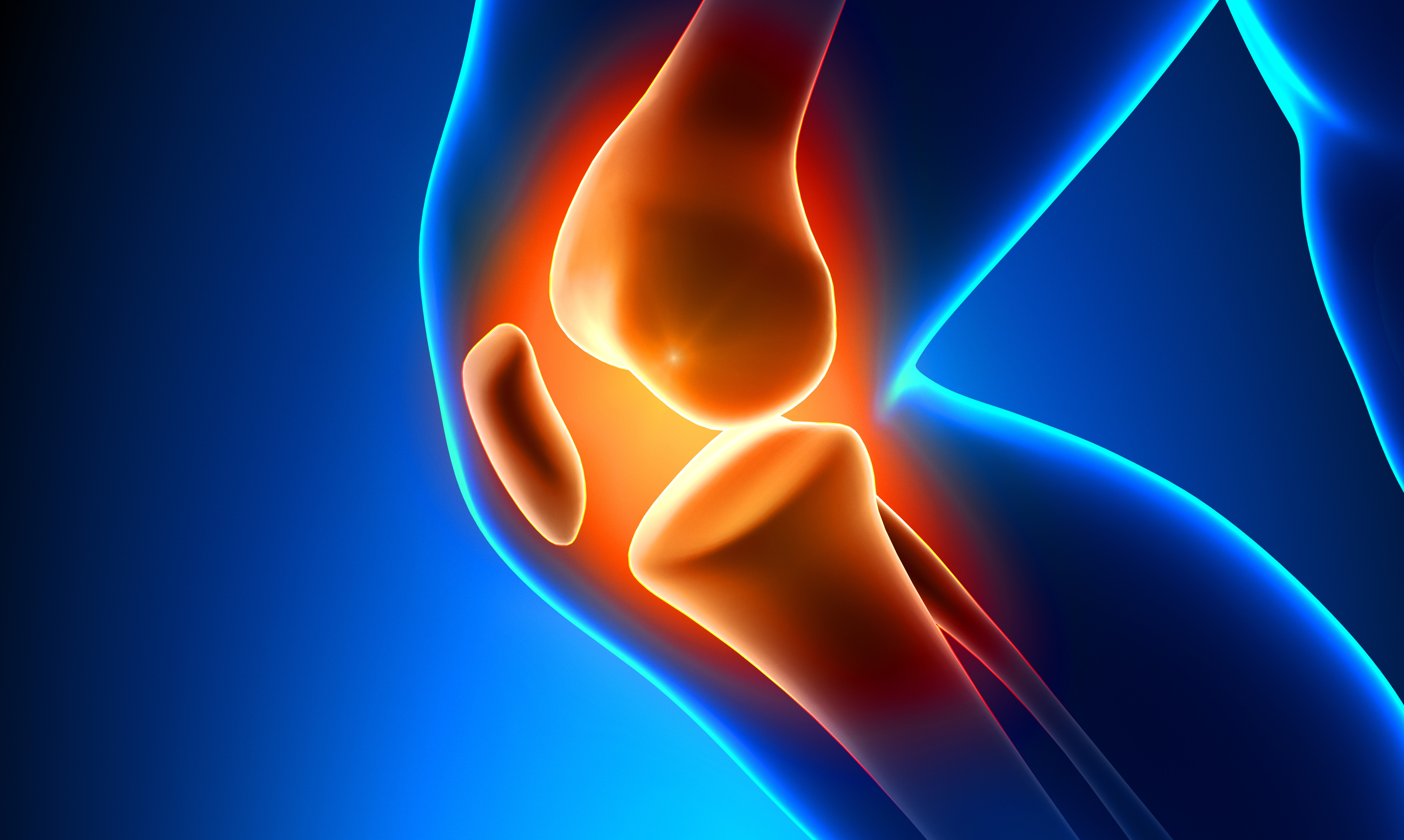 膝关节解剖变异的影像诊断