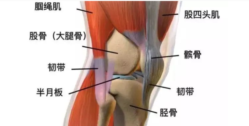 膝盖周边痛！膝关节疼痛一般是什么病？