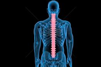 强直性脊柱炎，如何阶梯化与个体化用药？