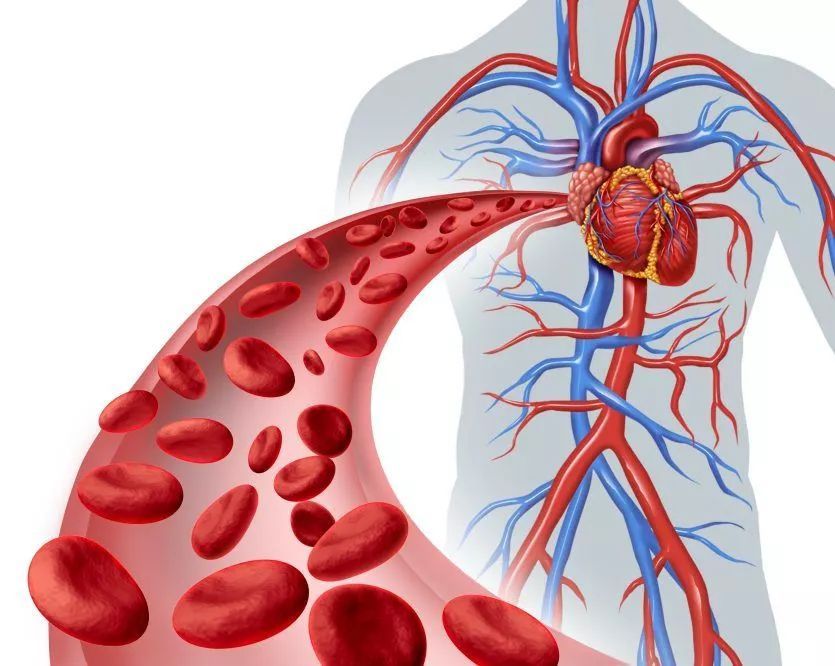 泛血管医学，已从理论转向临床实践！欧洲心脏杂志葛均波院士文章