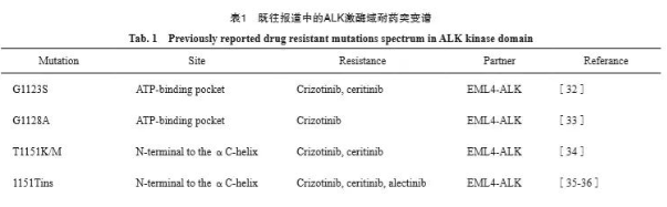 ALK激酶域耐药突变的研究进展及未来应对策略