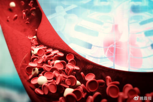 “坏胆固醇”是心血管病关键致病因素！基层血脂管理专家建议