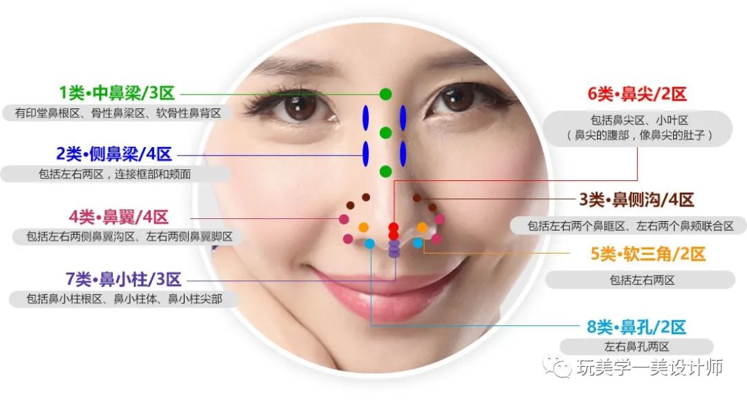 鼻综合手术必备——鼻解剖基础