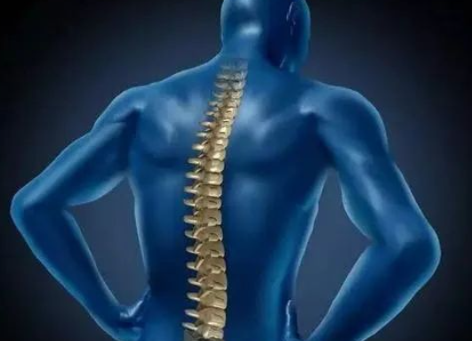 人体脊柱健康自我检测——给你的脊柱评评分