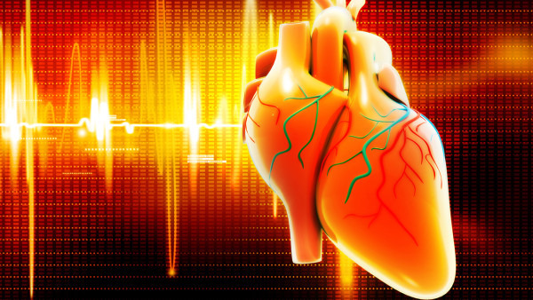 常见心肌病的心电图特征，一文掌握！