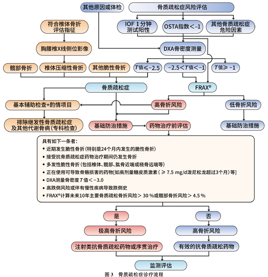 原发性骨质疏松症诊疗指南（2022）