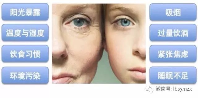皮肤衰老的类型