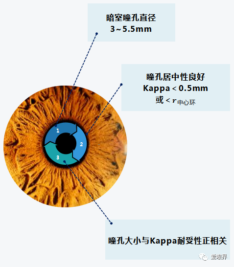 多焦晶体临床应用专家共识解读