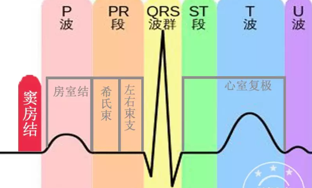 学习心电图，这是我见过最完美的文章！