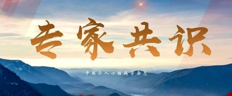 【专家共识】经皮去肾神经术治疗高血压临床路径中国专家共识（2025版）