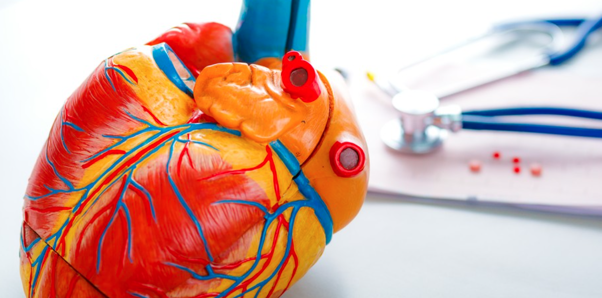 BNP、射血分数正常却确诊心衰 —— 诊断是否存在误差