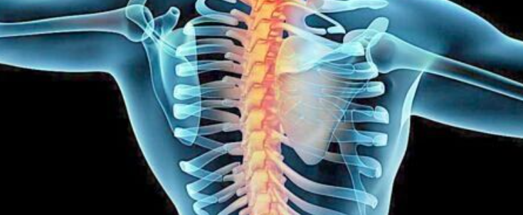 颈、胸、腰椎椎弓根钉置钉技巧，必备高清图解（全）！