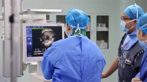  文献速递 | 冠脉IVUS读图和测量