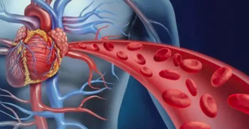 如何精准平衡PCI术后患者的缺血与出血风险?最新专家共识给出答案