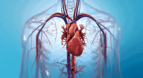 急性心肌梗死如何快速高效急救?