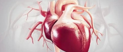 关于冠脉动脉造影水化策略的选择,你都会了吗