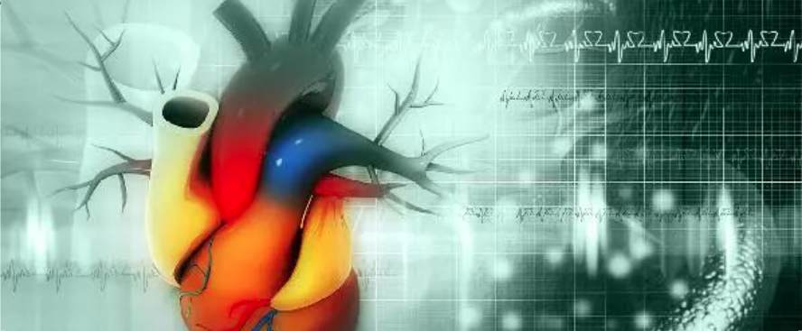 科技进展 | 钟敬泉教授团队在心房颤动领域取得系列研究成果