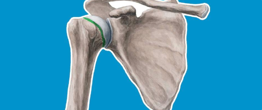 肱骨近端骨折：解剖、分型、治疗及内固定全面讲解！