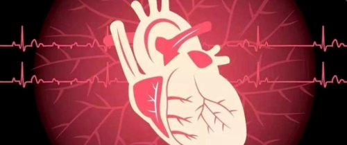 HFrEF心力衰竭【五朵金花】用药