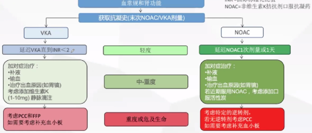 心律解码 | 心房颤动的综合治疗，手把手教会你！