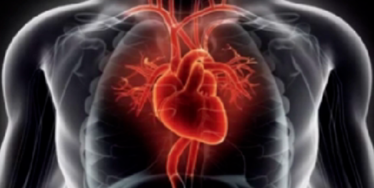 心律解码丨心源性猝死及心脏急救