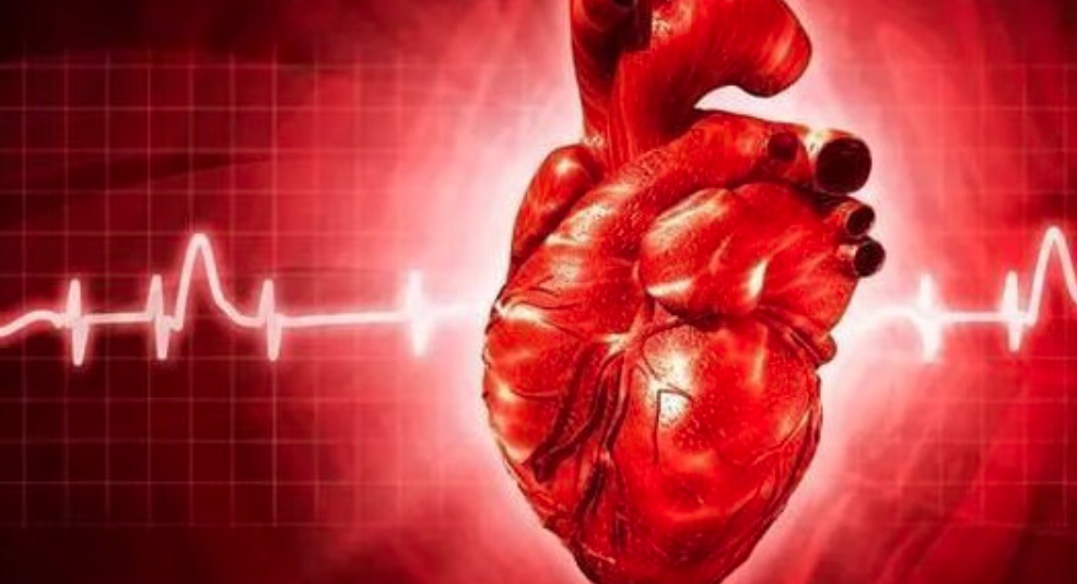 针对高危冠脉斑块，药物保守治疗为首选，EuroIntervention观点文章